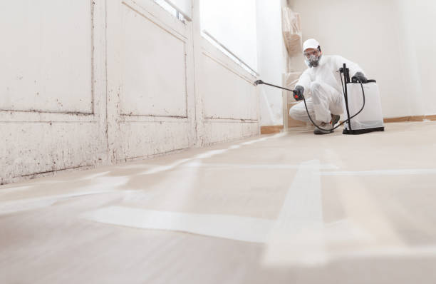 24/7 Emergency Mold Remediation experts in Chandler, TX